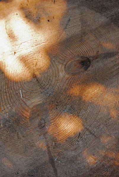 Wood Block Sun Reflections — Stockfoto