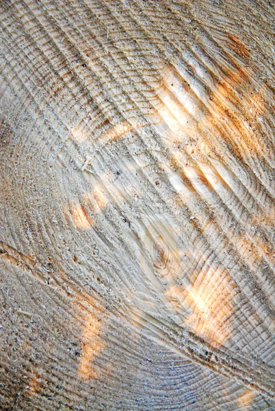 Wood block with sun reflections