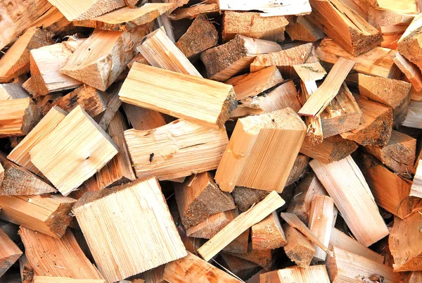 Freshly Cut Firewood Winter Season — Stock Photo, Image