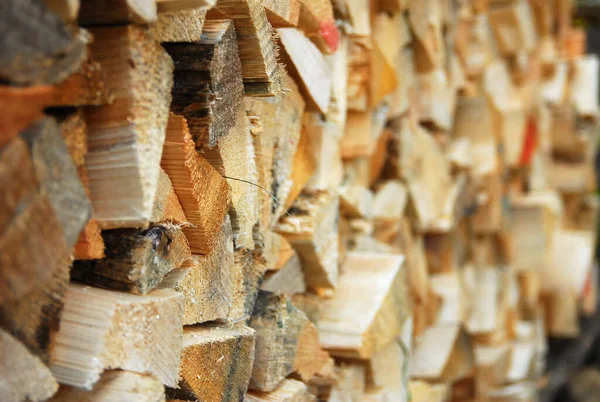 Stacked Firewood Drying Rows — Fotografia de Stock