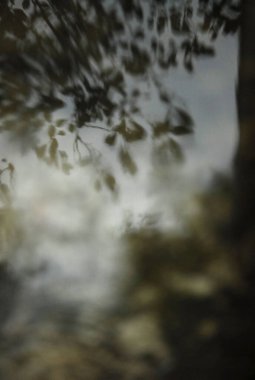 reflections in rainwater on concrete steps