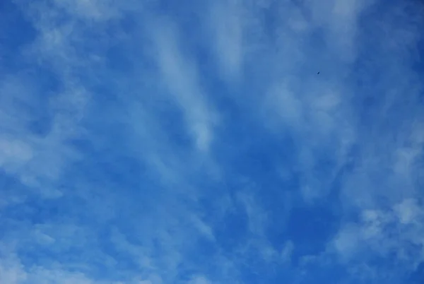 Βαθύ Πρωινό Ουρανό Άσπρα Σύννεφα — Φωτογραφία Αρχείου