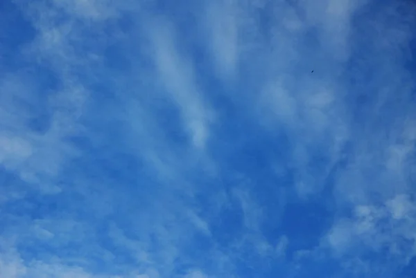 Ciel Matinal Profond Avec Nuages Blancs — Photo