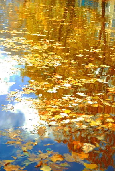 Feuilles Automne Dans Canal Ville — Photo