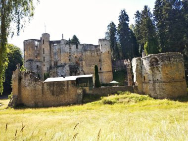 Old castle among the wheat field