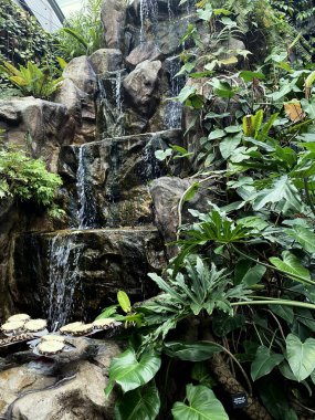 Waterfall in a mountain range