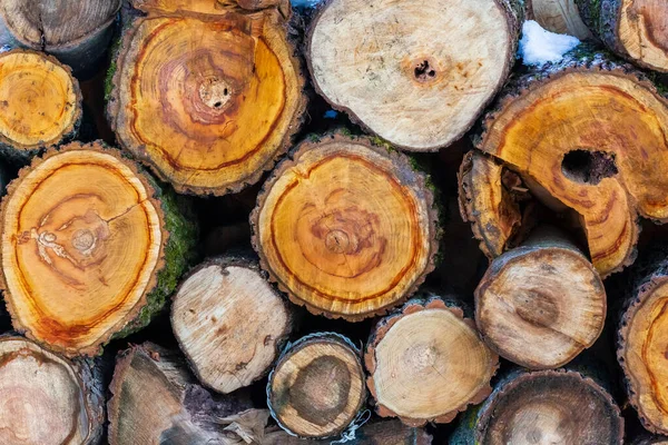 Stacked wood covered with snow. Background. A woodpile of dry fire woods in the winter. Stack of fire wood with snow. Winter fire wood provisions. Row of fire wood stock for winter. Winter..