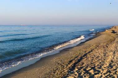Deniz kıyısı ve mavi gökyüzü, kumsal, gökyüzündeki kuşlar, ufuktaki gemiler..