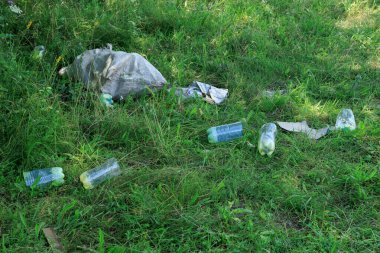 Çimlerin üzerinde plastik şişeler, çöp, kirlilik