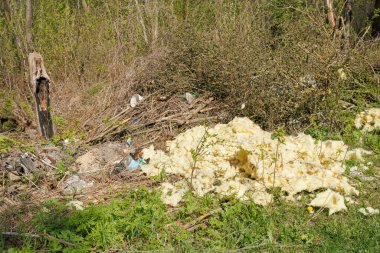 Ormanda korkunç bir çöplük var. Ormanların ve doğanın antropojenik kirliliği kavramı. Ormanda bir sürü çöp var.