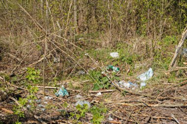 Ormanda korkunç bir çöplük var. Ormanların ve doğanın antropojenik kirliliği kavramı. Ormanda bir sürü çöp var.