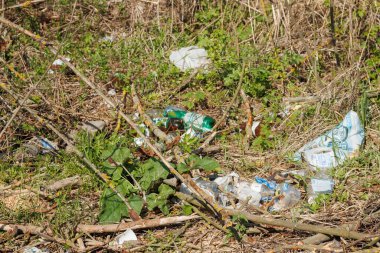 Ormanda korkunç bir çöplük var. Ormanların ve doğanın antropojenik kirliliği kavramı. Ormanda bir sürü çöp var.