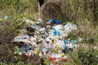 Ormanda korkunç bir çöplük var. Ormanların ve doğanın antropojenik kirliliği kavramı. Ormanda bir sürü çöp var.