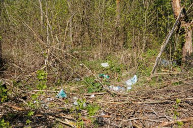 Terrible landfill in the woods. Concept of anthropogenic pollution of forests and nature. There's a lot of rubbish in the forest