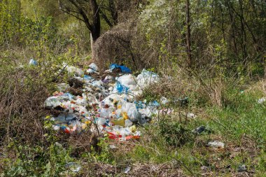 Ormanda korkunç bir çöplük var. Ormanların ve doğanın antropojenik kirliliği kavramı. Ormanda bir sürü çöp var.
