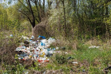 Terrible landfill in the woods. Concept of anthropogenic pollution of forests and nature. There's a lot of rubbish in the forest