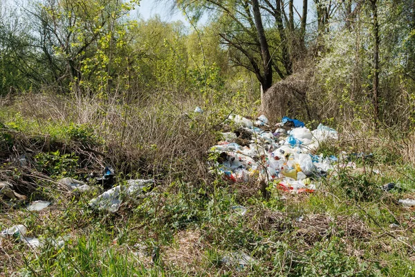 stock image Terrible landfill in the woods. Concept of anthropogenic pollution of forests and nature. There's a lot of rubbish in the forest