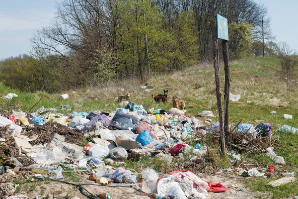 A view of the landfill. Garbage dump. A pile of plastic rubbish, food waste and other rubbish. Pollution concept. A sea of garbage starts to invade and destroy a beautiful countryside scenery.