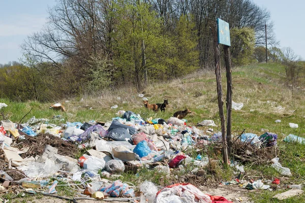 A view of the landfill. Garbage dump. A pile of plastic rubbish, food waste and other rubbish. Pollution concept. A sea of garbage starts to invade and destroy a beautiful countryside scenery.