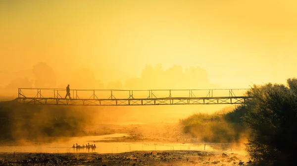 Чоловік Проходить Через Пішохідний Підвісний Міст Рано Вранці Тумані Прекрасний — стокове фото