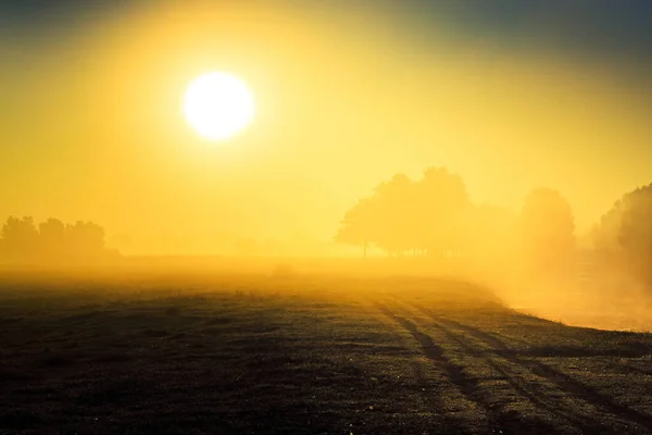 Схід Сонця Біля Річки Туман Над Водою Осінній Ранок — стокове фото