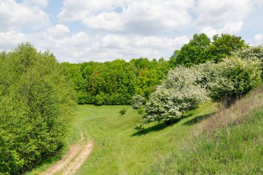 Crataegus monogyna, atmacagiller (Aborjingiller) familyasından Avrupa, kuzeybatı Afrika ve batı Asya 'da yetişen bir dikendir. İstilacı bir ot olabilir..