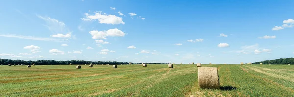 Field after harvesting wheat. A round stack of dry straw on a field in summer against a background of blue sky and trees