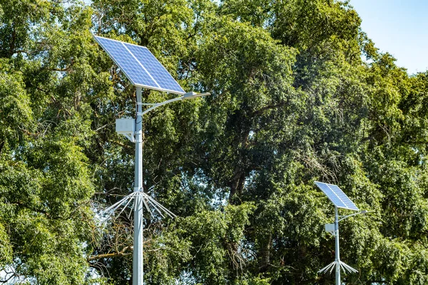 Lamp post with solar panel system on road with blue sky and trees. Autonomous street lighting using solar panels. Street lamp, on batteries from the sun. Alternative renewable energy systems.