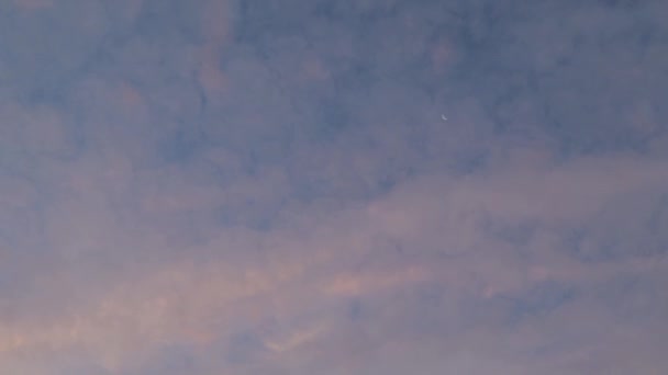 Liten Nymåne Morgonhimlen Med Rosa Moln Vita Moln Passerar Framför — Stockvideo