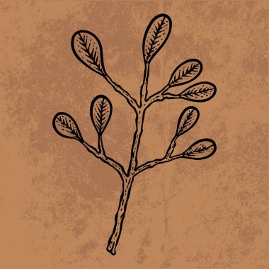 Botanik yaprağı yaban çiçeği çizgisi sanatı. El çizimi vektör çizimi. Klasik çiçek çizimi. Duvar kağıdı, poster, etiket, içerik sosyal medya için uygun