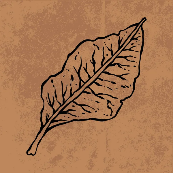 Botanical leaf doodle wildflower line art. Hand drawn vector illustration.Vintage floral outline. Suitable for wallpaper, poster, sticker,content social media