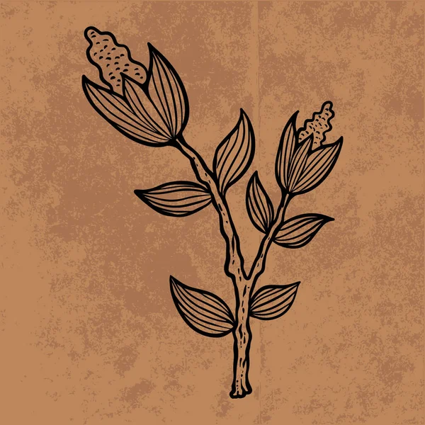 Botanical leaf doodle wildflower line art. Hand drawn vector illustration.Vintage floral outline. Suitable for wallpaper, poster, sticker,content social media