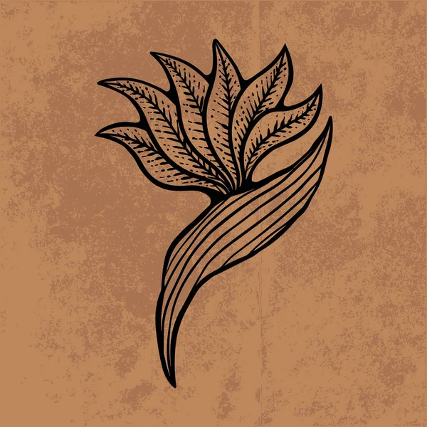 Botanical leaf doodle wildflower line art. Hand drawn vector illustration.Vintage floral outline. Suitable for wallpaper, poster, sticker,content social media