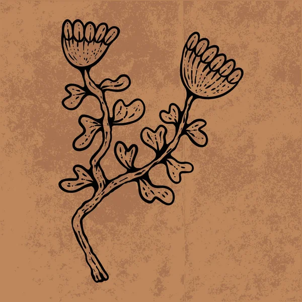 Botanical leaf doodle wildflower line art. Hand drawn vector illustration.Vintage floral outline. Suitable for wallpaper, poster, sticker,content social media