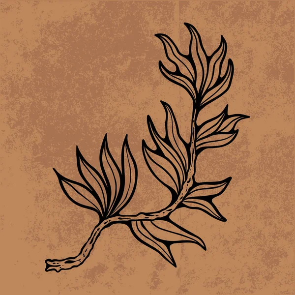 Botanical leaf doodle wildflower line art. Hand drawn vector illustration.Vintage floral outline. Suitable for wallpaper, poster, sticker,content social media