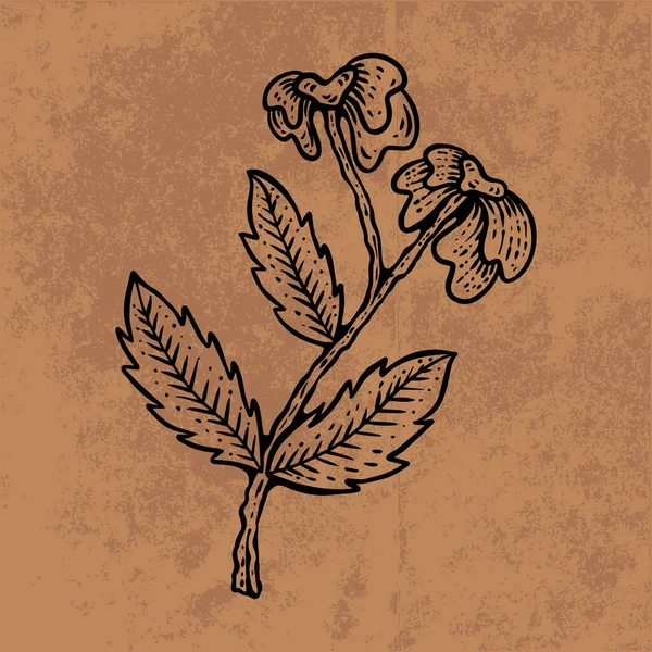 Botanical leaf doodle wildflower line art. Hand drawn vector illustration.Vintage floral outline. Suitable for wallpaper, poster, sticker,content social media