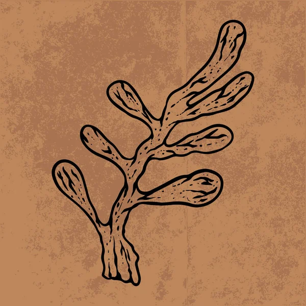 Botanical leaf doodle wildflower line art. Hand drawn vector illustration.Vintage floral outline. Suitable for wallpaper, poster, sticker,content social media