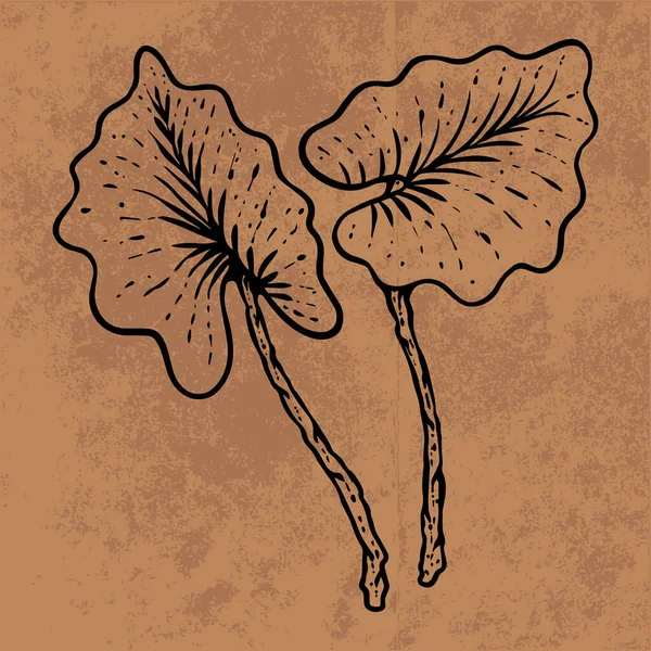 Botanical leaf doodle wildflower line art. Hand drawn vector illustration.Vintage floral outline. Suitable for wallpaper, poster, sticker,content social media