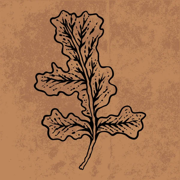 Botanical Leaf Doodle Wildflower Line Art Hand Drawn Vector Illustration — Διανυσματικό Αρχείο