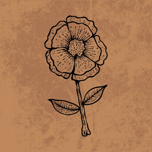 Botanical leaf doodle wildflower line art. Hand drawn vector illustration.Vintage floral outline. Suitable for wallpaper, poster, sticker,content social media