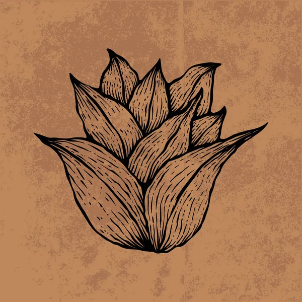 Botanical Leaf Doodle Wildflower Line Art Hand Drawn Vector Illustration — Vetor de Stock