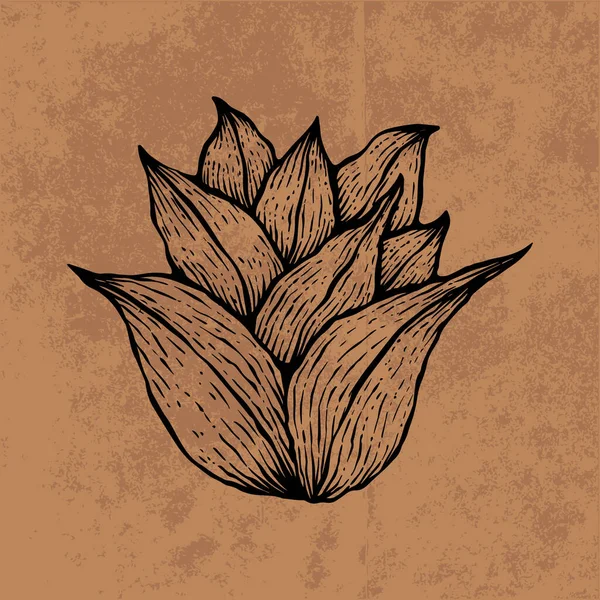 Botanical leaf doodle wildflower line art. Hand drawn vector illustration.Vintage floral outline. Suitable for wallpaper, poster, sticker,content social media
