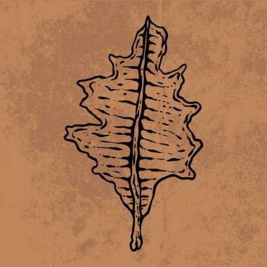 Botanik yaprağı yaban çiçeği çizgisi sanatı. El çizimi vektör çizimi. Klasik çiçek çizimi. Duvar kağıdı, poster, etiket, içerik sosyal medya için uygun