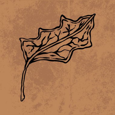 Botanik yaprağı yaban çiçeği çizgisi sanatı. El çizimi vektör çizimi. Klasik çiçek çizimi. Duvar kağıdı, poster, etiket, içerik sosyal medya için uygun