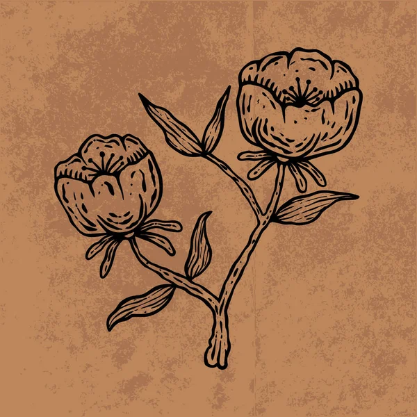 Botanical leaf doodle wildflower line art. Hand drawn vector illustration.Vintage floral outline. Suitable for wallpaper, poster, sticker,content social media