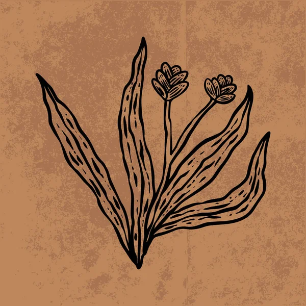 Botanical Leaf Doodle Wildflower Line Art Hand Drawn Vector Illustration — ストックベクタ