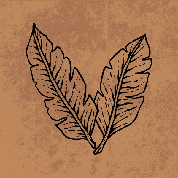 Botanical leaf doodle wildflower line art. Hand drawn vector illustration.Vintage floral outline. Suitable for wallpaper, poster, sticker,content social media