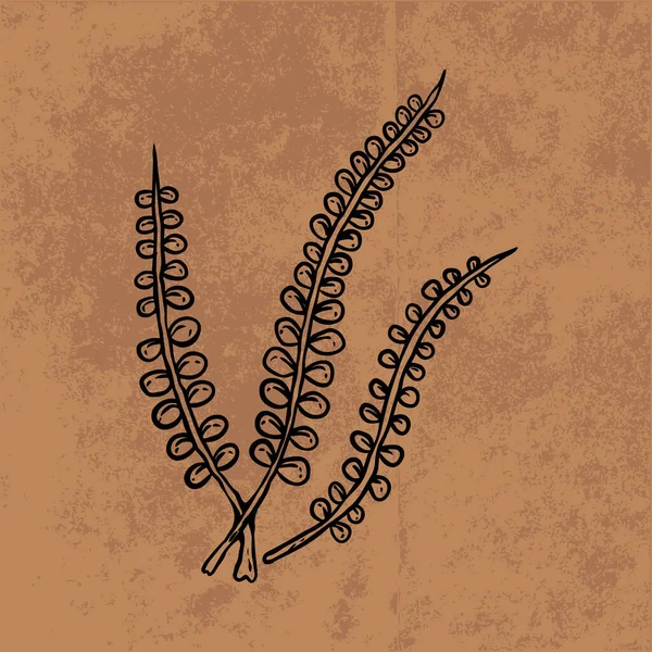Botanical leaf doodle wildflower line art. Hand drawn vector illustration.Vintage floral outline. Suitable for wallpaper, poster, sticker,content social media