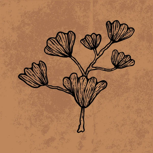 Botanical leaf doodle wildflower line art. Hand drawn vector illustration.Vintage floral outline. Suitable for wallpaper, poster, sticker,content social media