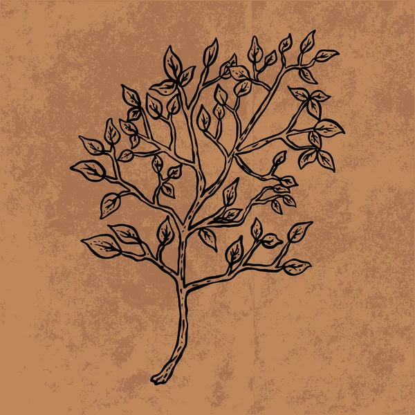 Botanical leaf doodle wildflower line art. Hand drawn vector illustration.Vintage floral outline. Suitable for wallpaper, poster, sticker,content social media